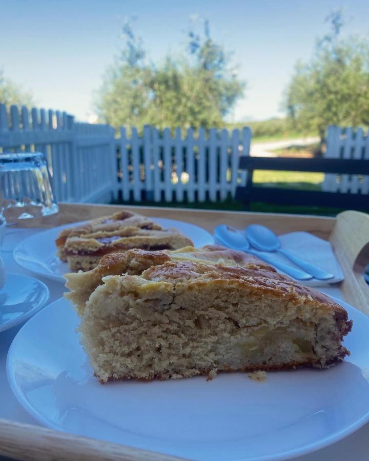 Olea B&B Montecosaro  Bagian luar foto