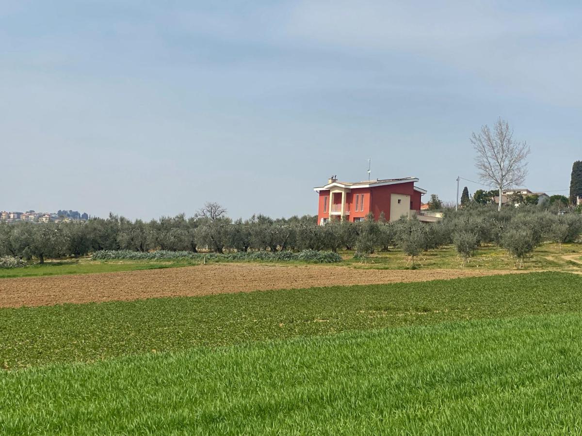 Olea B&B Montecosaro  Bagian luar foto
