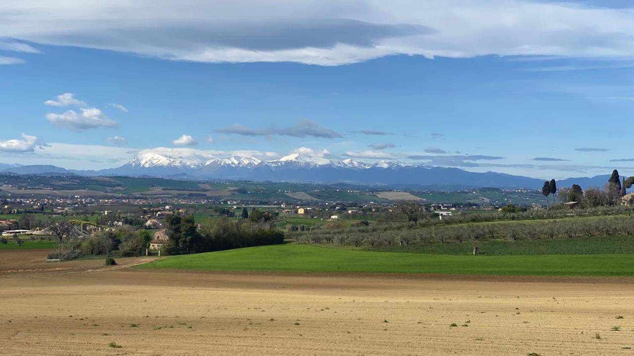 Olea B&B Montecosaro  Bagian luar foto