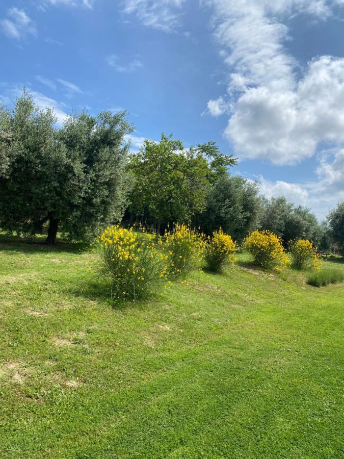 Olea B&B Montecosaro  Bagian luar foto